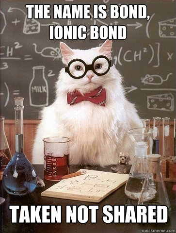 THE NAME IS BOND,
IONIC BOND TAKEN NOT SHARED  Chemistry Cat