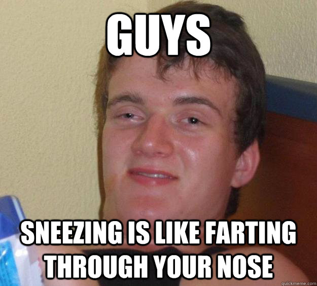 Guys Sneezing is like farting through your nose  10 Guy