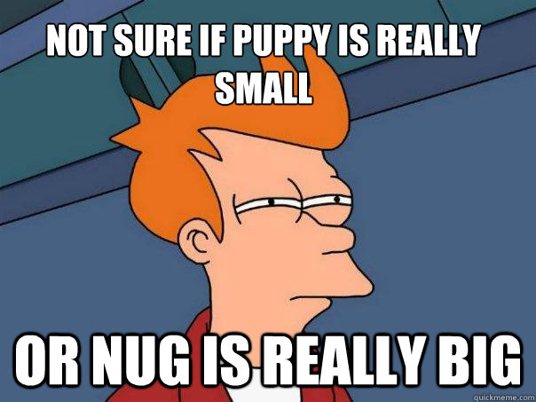 Not sure if Puppy is really small Or nug is really big  Futurama Fry