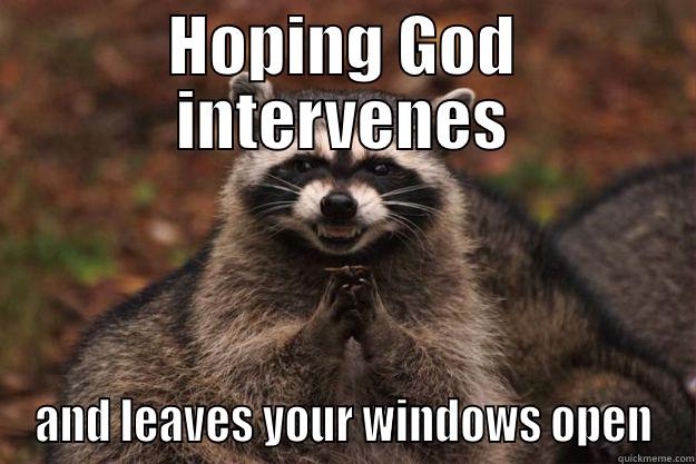 HOPING GOD INTERVENES AND LEAVES YOUR WINDOWS OPEN Evil Plotting Raccoon