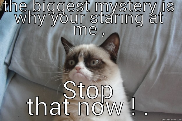 life is full of many mysteries - THE BIGGEST MYSTERY IS WHY YOUR STARING AT ME , STOP THAT NOW ! . Grumpy Cat