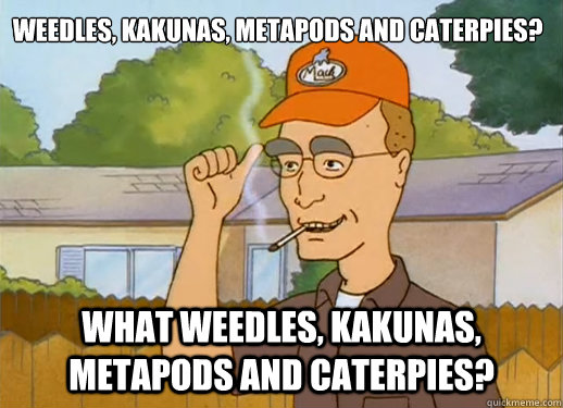 What Weedles, kakunas, metapods and caterpies? Weedles, kakunas, metapods and caterpies?  Dale Gribble