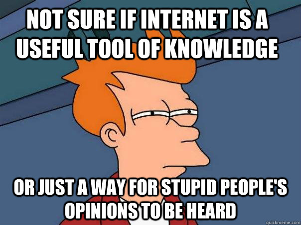 Not sure if internet is a useful tool of knowledge Or just a way for stupid people's opinions to be heard - Not sure if internet is a useful tool of knowledge Or just a way for stupid people's opinions to be heard  Futurama Fry