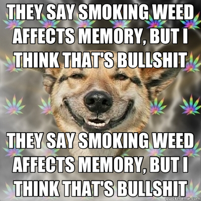 THEY SAY SMOKING WEED AFFECTS MEMORY, BUT I THINK THAT'S BULLSHIT THEY SAY SMOKING WEED AFFECTS MEMORY, BUT I THINK THAT'S BULLSHIT  Stoner Dog