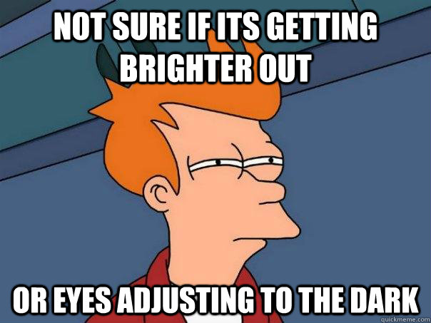 Not sure if its getting brighter out Or eyes adjusting to the dark  Futurama Fry