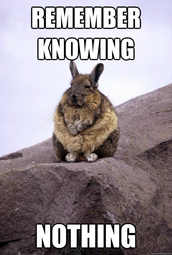 Remember knowing nothing  Wise Wondering Viscacha