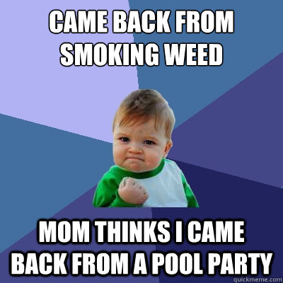 Came back from smoking weed mom thinks i came back from a pool party  Success Kid