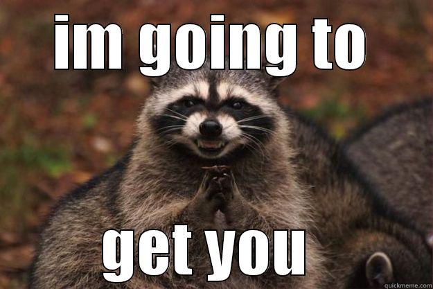 here i come - IM GOING TO GET YOU  Evil Plotting Raccoon