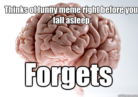 Thinks of funny meme right before you fall asleep Forgets  Scumbag Brain