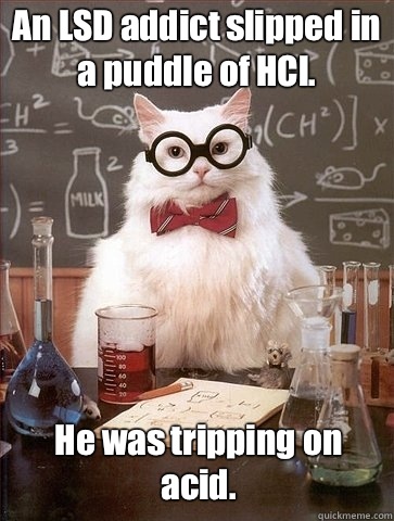 An LSD addict slipped in a puddle of HCl. He was tripping on acid.  Chemistry Cat