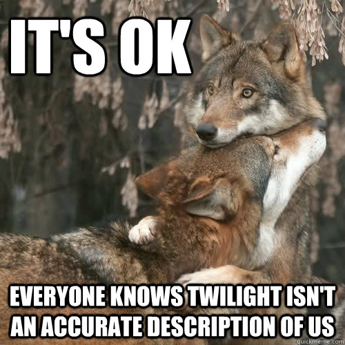 it's ok  everyone knows twilight isn't an accurate description of us - it's ok  everyone knows twilight isn't an accurate description of us  Comforting wolf