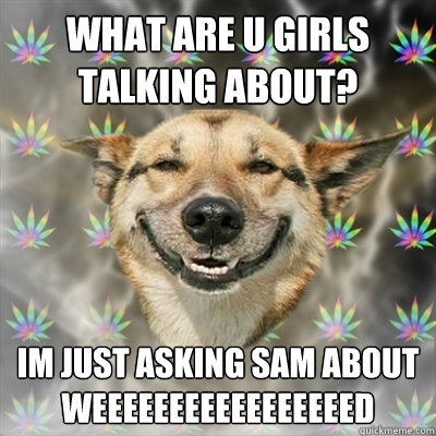 what are u girls talking about? im just asking sam about weeeeeeeeeeeeeeeeed  Stoner Dog