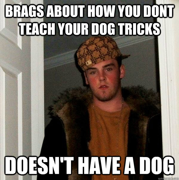 Brags about how you dont teach your dog tricks doesn't have a dog  Scumbag Steve