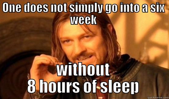 ONE DOES NOT SIMPLY GO INTO A SIX WEEK WITHOUT 8 HOURS OF SLEEP Boromir