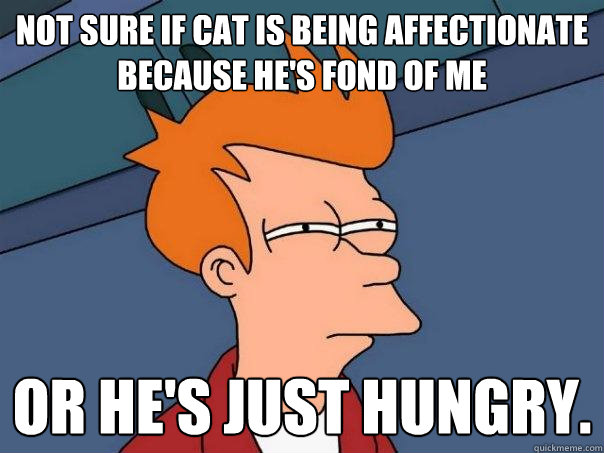 Not sure if cat is being affectionate because he's fond of me or he's just hungry. - Not sure if cat is being affectionate because he's fond of me or he's just hungry.  Futurama Fry