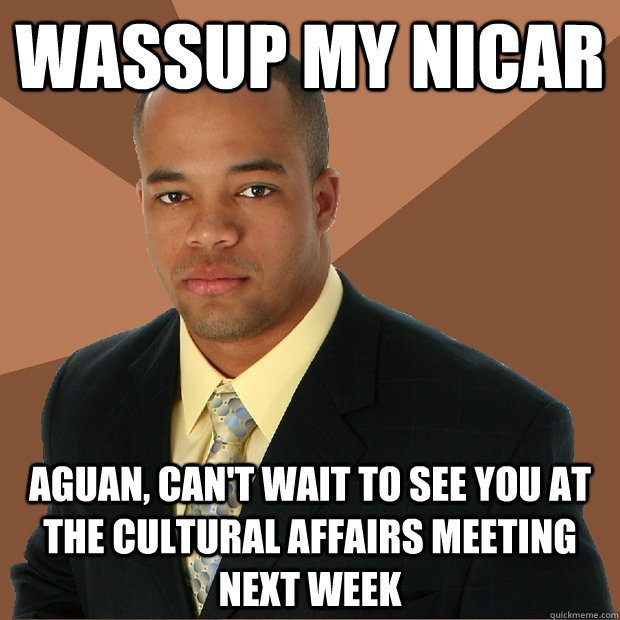 wassup my nicar aguan, can't wait to see you at the cultural affairs meeting next week  Successful Black Man