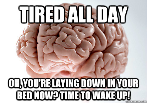 Tired all day Oh, you're laying down in your bed now? Time to wake up!  Scumbag Brain