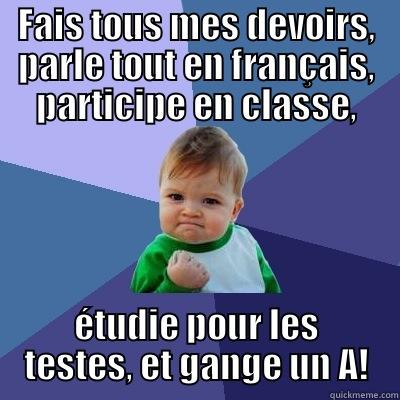 FAIS TOUS MES DEVOIRS, PARLE TOUT EN FRANÇAIS, PARTICIPE EN CLASSE, ÉTUDIE POUR LES TESTES, ET GANGE UN A! Success Kid