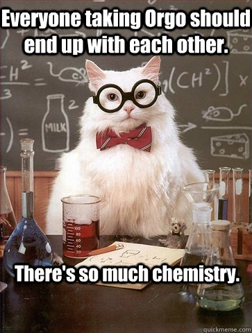 Everyone taking Orgo should end up with each other. There's so much chemistry. - Everyone taking Orgo should end up with each other. There's so much chemistry.  Chemistry Cat