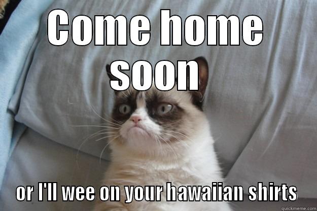 COME HOME SOON OR I'LL WEE ON YOUR HAWAIIAN SHIRTS Grumpy Cat