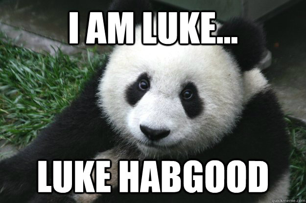 I am Luke... Luke Habgood  