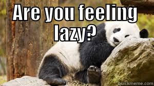 Lazy panda - ARE YOU FEELING LAZY?  Misc