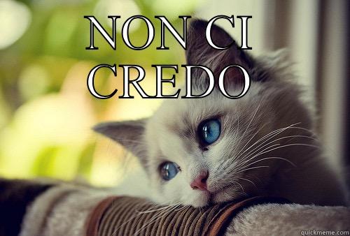 NON CI CREDO  First World Problems Cat