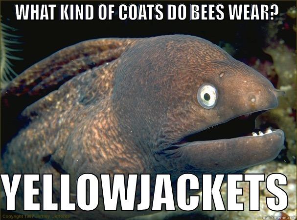 WHAT KIND OF COATS DO BEES WEAR?  YELLOWJACKETS Bad Joke Eel