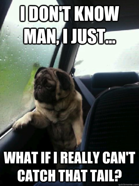 I don't know man, I just... What if I really can't catch that tail?  Introspective Pug