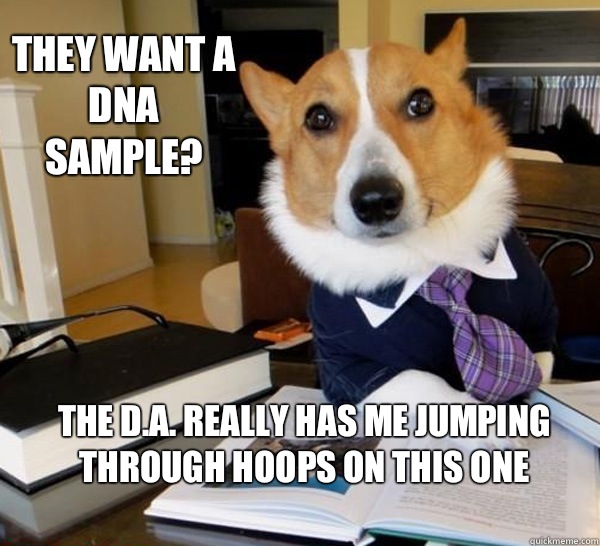 They want a dna sample? The D.A. really has me jumping through hoops on this one  Lawyer Dog