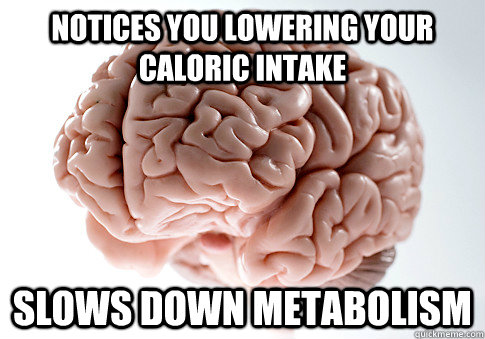 Notices you lowering your caloric intake Slows down metabolism  Scumbag Brain