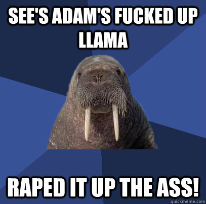 see's adam's fucked up llama Raped it up the ass!  Web Developer Walrus