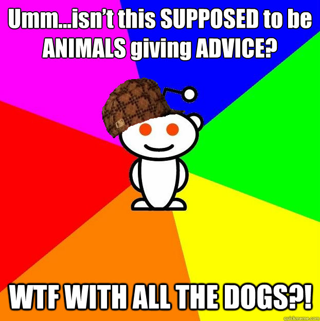 Umm...isn’t this SUPPOSED to be ANIMALS giving ADVICE? WTF WITH ALL THE DOGS?!  Scumbag Redditor