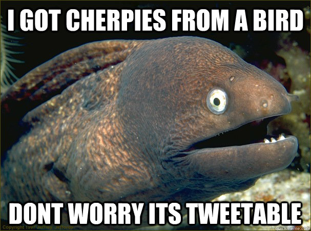 i got cherpies from a bird Dont worry its tweetable  Bad Joke Eel