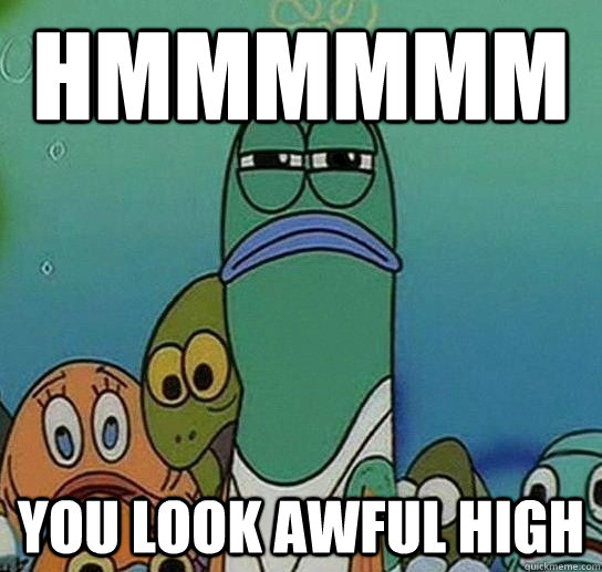 HMMMMMM YOU LOOK AWFUL HIGH  Serious fish SpongeBob