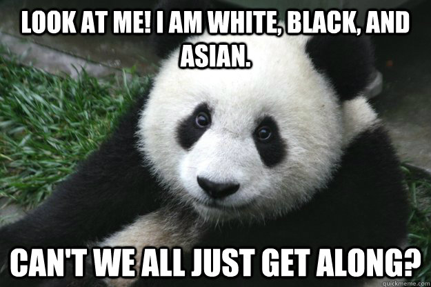 Look at me! I am white, black, and Asian.  Can't we all just get along?  Racist panda