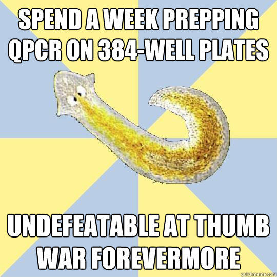 spend a week prepping qpcr on 384-well plates undefeatable at thumb war forevermore  Bio Major Planarian