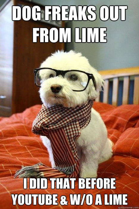 Dog Freaks Out From Lime I Did That Before Youtube & w/o a Lime  Hipster Dog