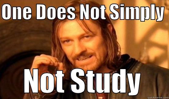 Freshman 9 - ONE DOES NOT SIMPLY  NOT STUDY Boromir