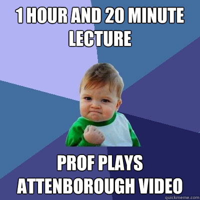 1 hour and 20 minute lecture Prof plays attenborough video  Success Kid