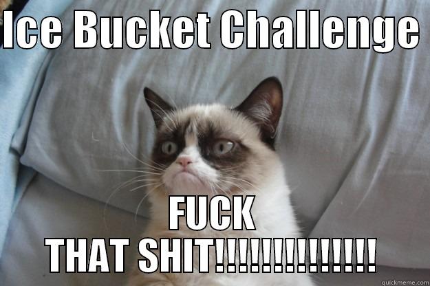 ICE BUCKET CHALLENGE  FUCK THAT SHIT!!!!!!!!!!!!!! Grumpy Cat