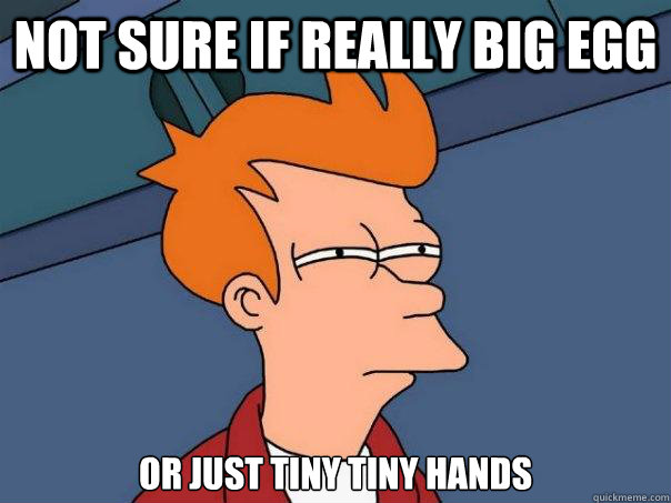 not sure if really big egg or just tiny tiny hands - not sure if really big egg or just tiny tiny hands  Futurama Fry