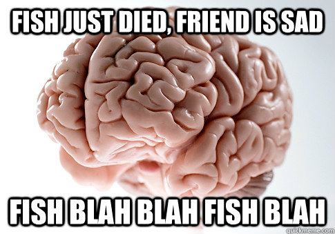 fish just died, friend is sad fish blah blah fish blah  Scumbag Brain