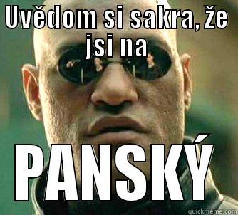 HAHAHAHA VERY FUNNY - UVĚDOM SI SAKRA, ŽE JSI NA PANSKÝ Matrix Morpheus