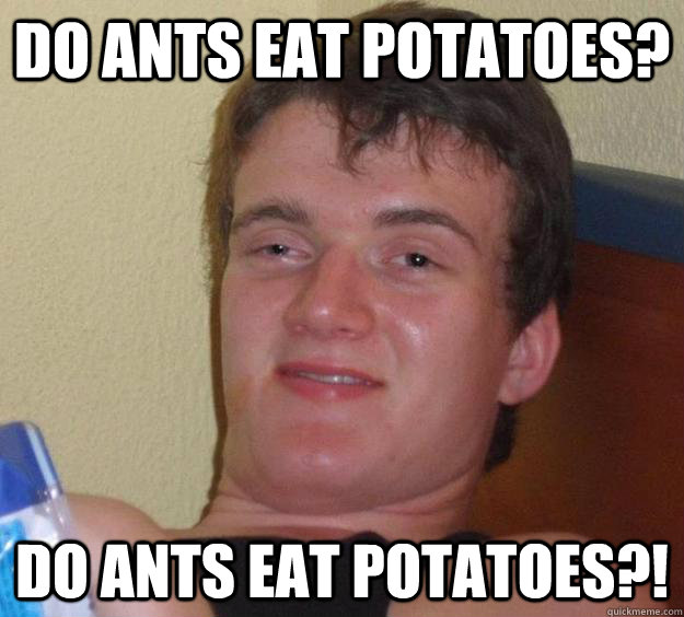 Do ants eat potatoes? do ants eat potatoes?!  10 Guy