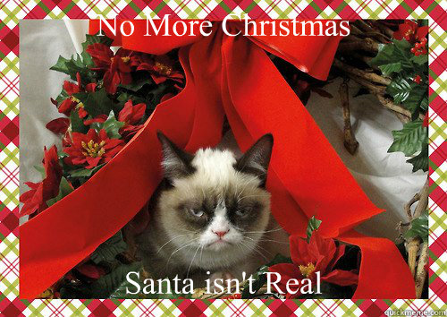 No More Christmas Santa isn't Real  A Grumpy Cat Christmas