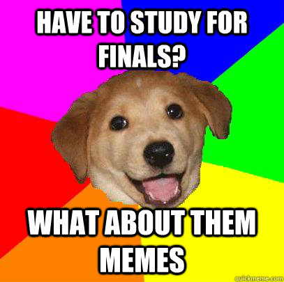 Have to study for finals? What about them memes   Advice Dog