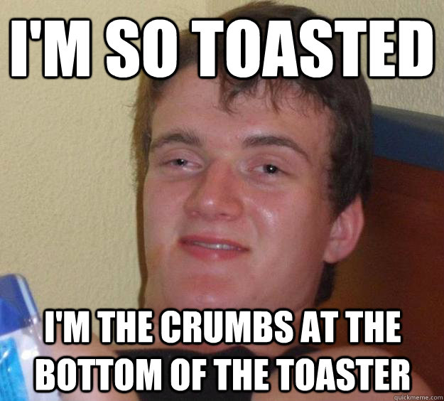 I'm so toasted I'm the crumbs at the bottom of the toaster - I'm so toasted I'm the crumbs at the bottom of the toaster  10 Guy