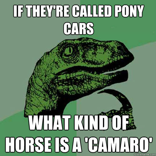 If they're called pony cars what kind of horse is a 'camaro'  Philosoraptor