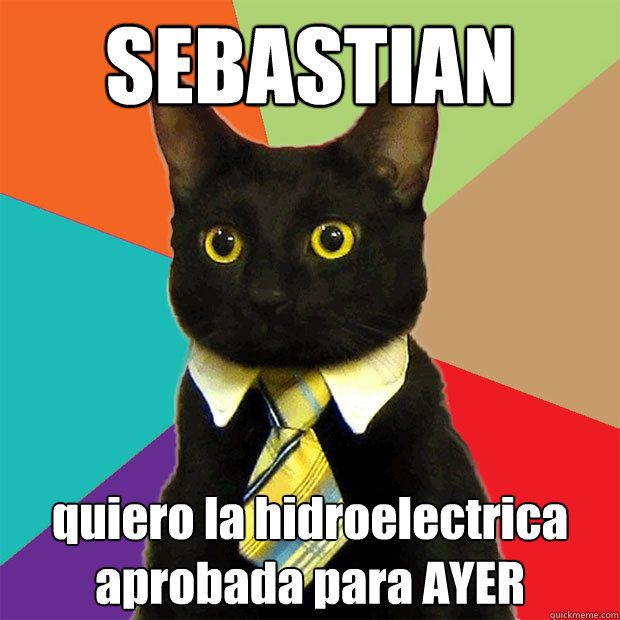 SEBASTIAN quiero la hidroelectrica aprobada para AYER  Business Cat